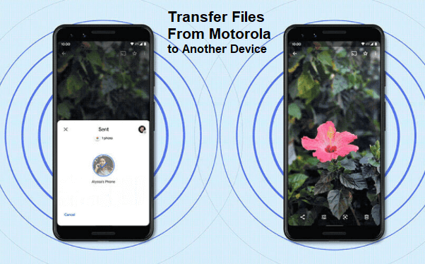 how-to-transfer-files-from-motorola-to-another-device-ms